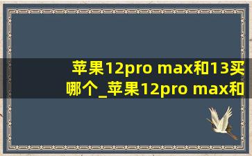 苹果12pro max和13买哪个_苹果12pro max和13买哪个合适